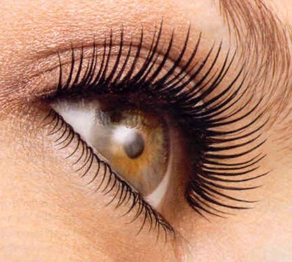Eyelashes Eyelashes