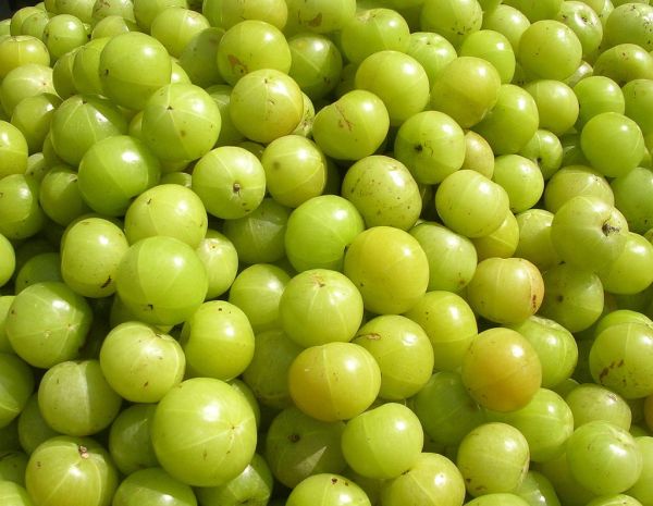 Amla
