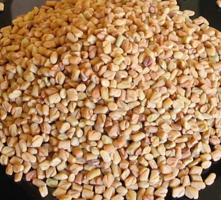 Fenugreek