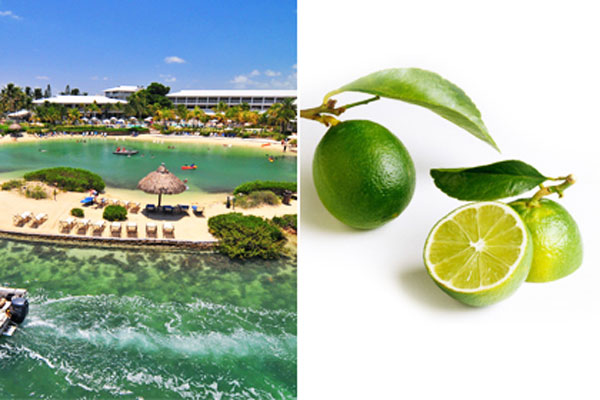 Key Lime Mojito