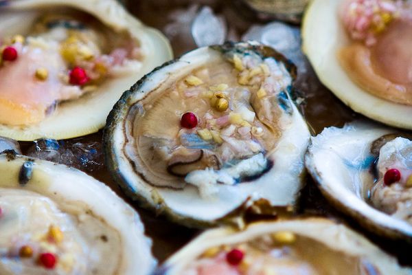 Oyster and have them raw Oyster and have them raw